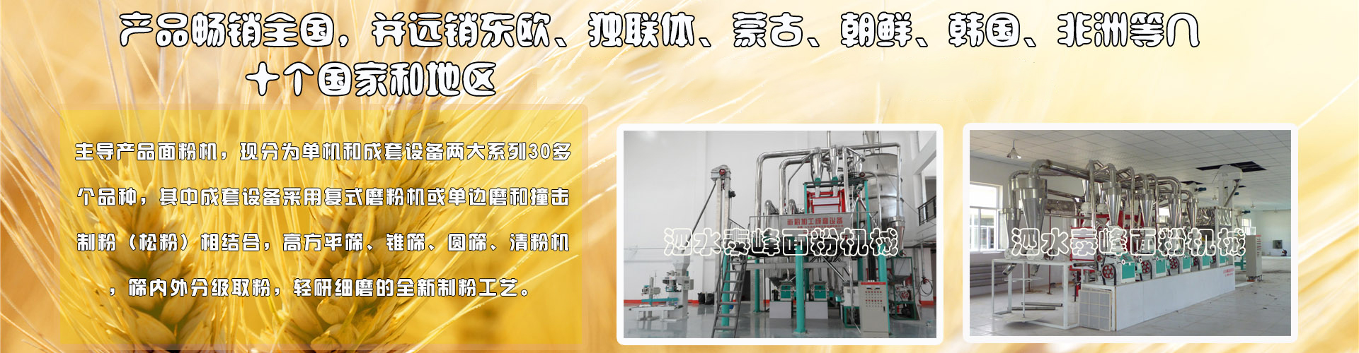 玉米成套設(shè)備